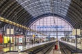 People arrive and depart at Frankfurt train station Royalty Free Stock Photo