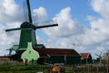 People attends the village of windmills Zaanse Schans