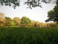 People in autumn park