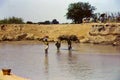 People on the banks of the White Volta river in northern Ghana, c.1959