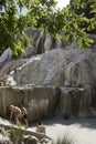 People bathing in Bagni San Filippo