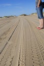 People at the beach Royalty Free Stock Photo