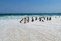 People on beach in Rio de Janeiro, Dangerous waves