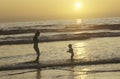 people on beach at sunset, North San Diego, CA