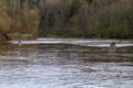 People boating on river in Latvia. Royalty Free Stock Photo