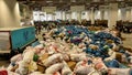 People bringing and collecting relief supplies after the great earthquake in Turkey : 06.02.2023