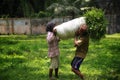 People bringing grass for animal feed