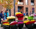 People buy flowers at a pop-up flower market Royalty Free Stock Photo