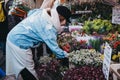 People buying flowers at Columbia Road Flower Market, London, UK Royalty Free Stock Photo