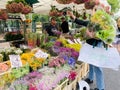 People buying plants at the Columbia road flower market London , Uk Royalty Free Stock Photo