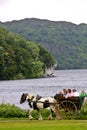 People in a caleche at Muckross Park, Killarney, Ireland Royalty Free Stock Photo