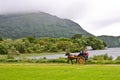 People in a caleche at Muckross Park, Killarney, Ireland Royalty Free Stock Photo