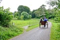 People in a caleche at Muckross Park, Killarney, Ireland Royalty Free Stock Photo