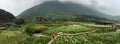 People on the calla lily field in Yang Ming Shan Park, Taiwan Royalty Free Stock Photo