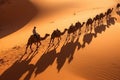 People on camels move through the desert. Beautiful desert landscape, top view