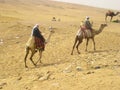 People on the camels, pyramif on the plateu of Gissa, Egypt Royalty Free Stock Photo