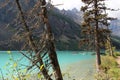 People canoeing on Lake Louise, Alberta, Canada Royalty Free Stock Photo