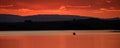 People Canoeing On Lake At Sunset Relaxing Vacation Fun Royalty Free Stock Photo