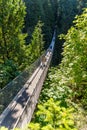 People on Capilano Suspension Bridge amongst trees Royalty Free Stock Photo