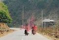 People carry peach flowers on street in Ninhbinh, Vietnam