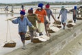 People carry salt at the salt farmin Huahin, Thailand. Royalty Free Stock Photo