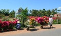 People carrying flowers on the street in Ben Tre, Vietnam