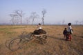 People carrying by tricycle cow carcass for vultures, Nepal