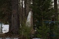 An abandoned old monument with a red star lying among the trees.