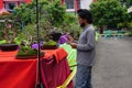 People checking and scoring bonsai on bonsai festival in Kediri