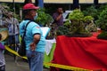 People checking and scoring bonsai on bonsai festival in Kediri