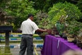 People checking and scoring bonsai on bonsai festival in Kediri