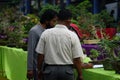 People checking and scoring bonsai on bonsai festival in Kediri