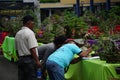 People checking and scoring bonsai on bonsai festival in Kediri