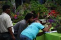 People checking and scoring bonsai on bonsai festival in Kediri