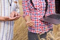 People checking wheat grains Royalty Free Stock Photo