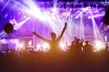 People cheering at rock festival Royalty Free Stock Photo