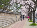 People on cherry tree alley