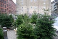 People christmas shoppers at tree vendor in Copenhagen