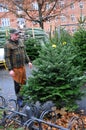 People christmas shoppers at tree vendor in Copenhagen