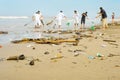 People cleaning polluted beach. Bali