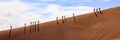 Dune in Sossusvlei Namibia Royalty Free Stock Photo