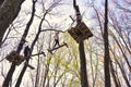 People climbing the obstacles in the trees