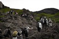 People climbing to Fuji mountain summit