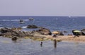 summer in the beach in spain Royalty Free Stock Photo