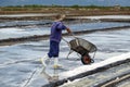 People collect salt about 40 kilometers north of Nha Trang