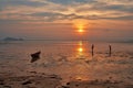 People collect shells after ebb in the ocean