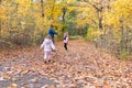 People collecting leaves on a wooded trail in autumn Royalty Free Stock Photo