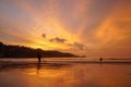 People come out to trawl their nets on Patong beach