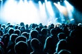 People at a concert Royalty Free Stock Photo