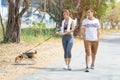 People couple walking with friendly pet beagle dog modern family morning activity for healthy Royalty Free Stock Photo